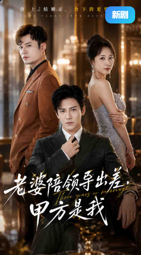 老婆陪领导出差，甲方是我